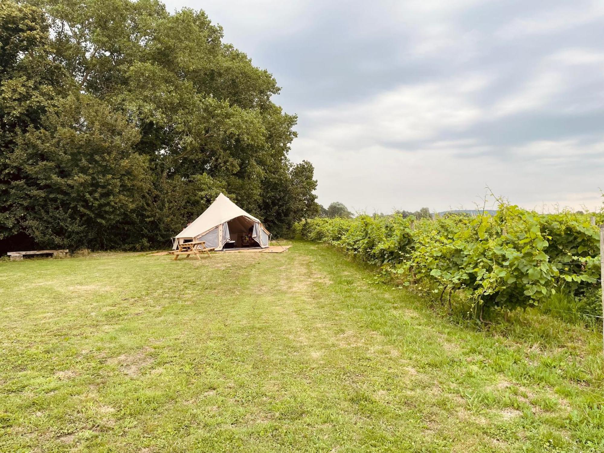 B&B 'T Zwaluwnest Heuvelland Szoba fotó